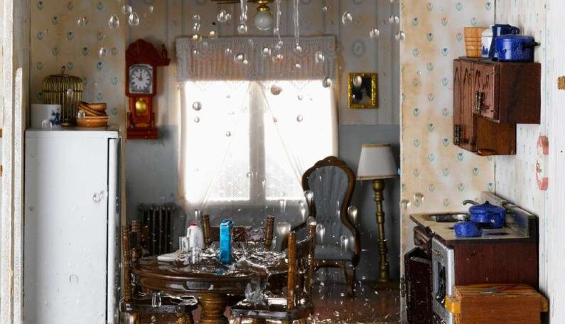 How to prevent water damage mold
