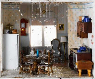 How to prevent water damage mold